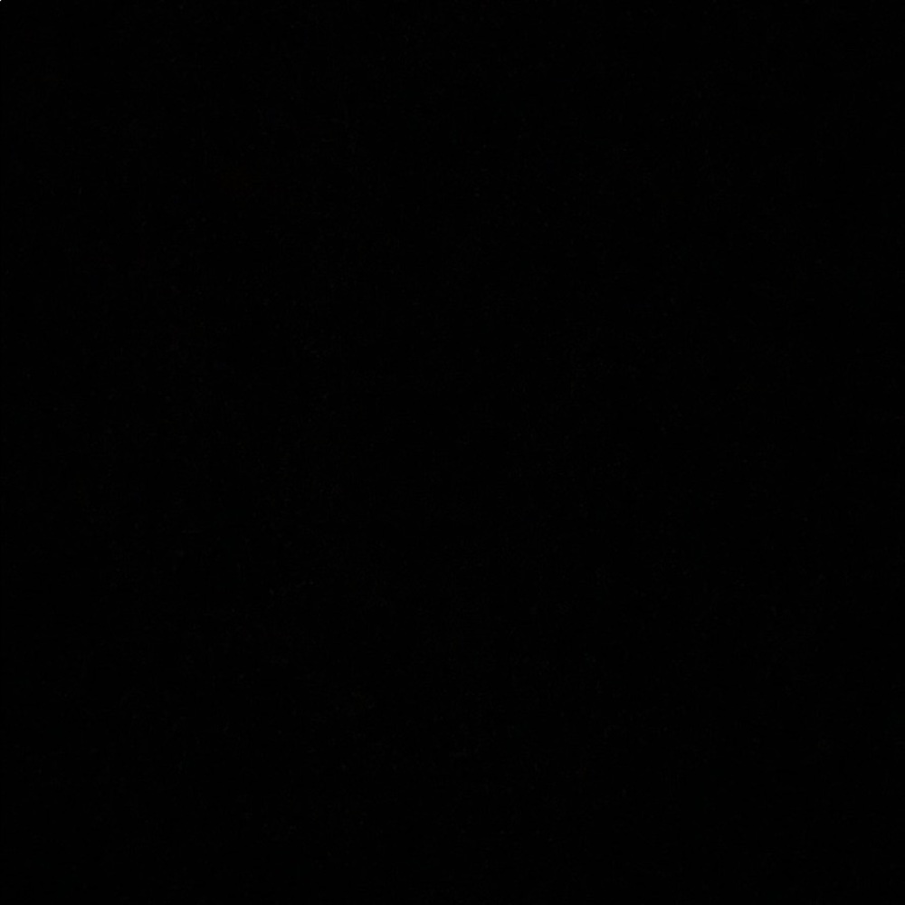 Meet your Posher, Bella